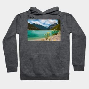 Beach and Mountains Digital Painting Hoodie